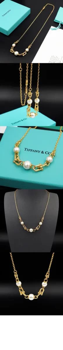 티파니 여성 링크 네크리스 - Tiffany Unisex Womens Link Necklace - acc9307x 이미지 4/4