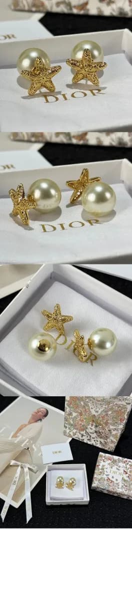 디올 여성 트라이벌 이어링 - Dior Womens Tribales Earring - acc9446x 이미지 3/3