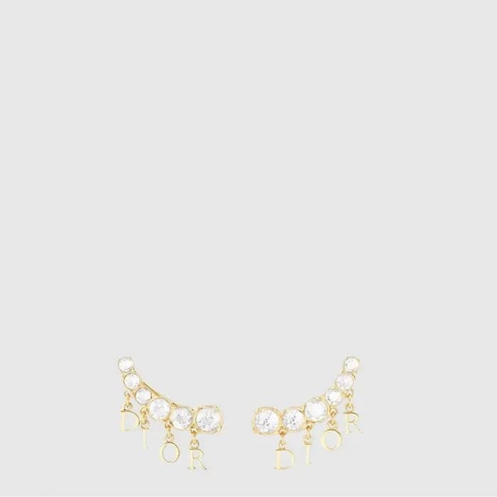 디올 여성 아이콘 이어링 - Dior Womens Icon Earring - acc9670x 이미지 1/3