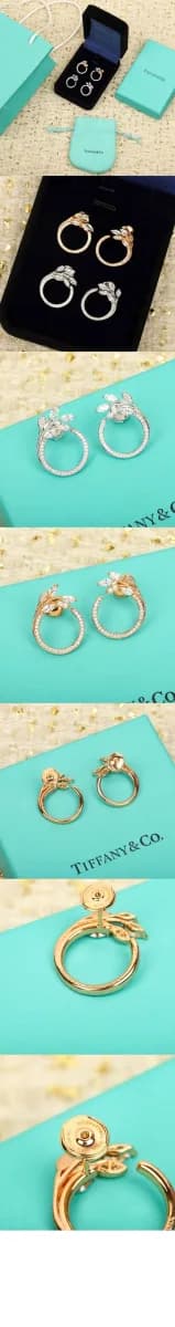 티파니 여성 다이아몬드 이어링 - Tiffany Womens Diamond Earring - acc9346x 이미지 3/3