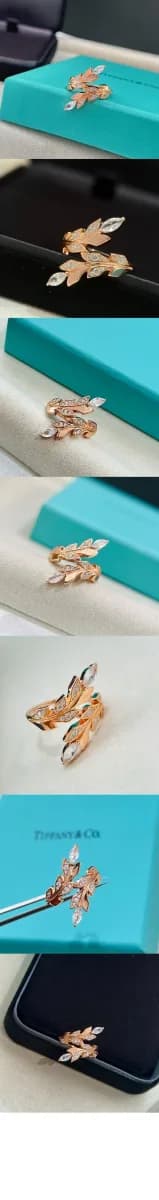 티파니 여성 넝쿨 서클 반지 - Tiffany Womens Vine Circle Ring - acc9187x 이미지 3/3