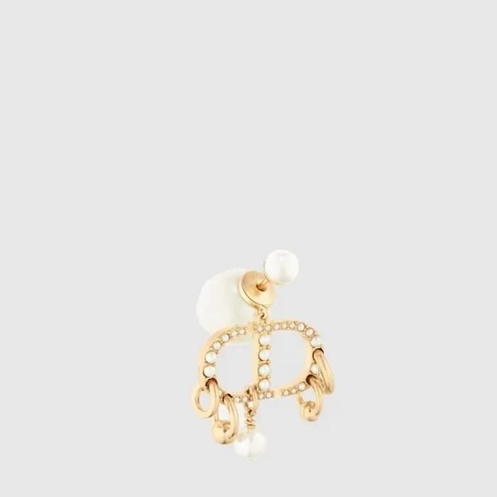 디올 여성 트라이벌 싱글 이어링 - Dior Womens Tribales Single Earring - acc9582x 이미지 1/4